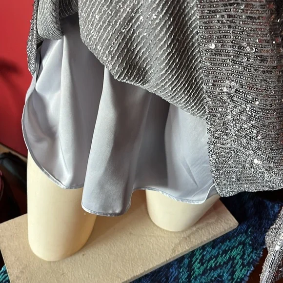 BNWOT Soft surroundings silver sparkly, long sleeve, formal lined top - Picture 11 of 16